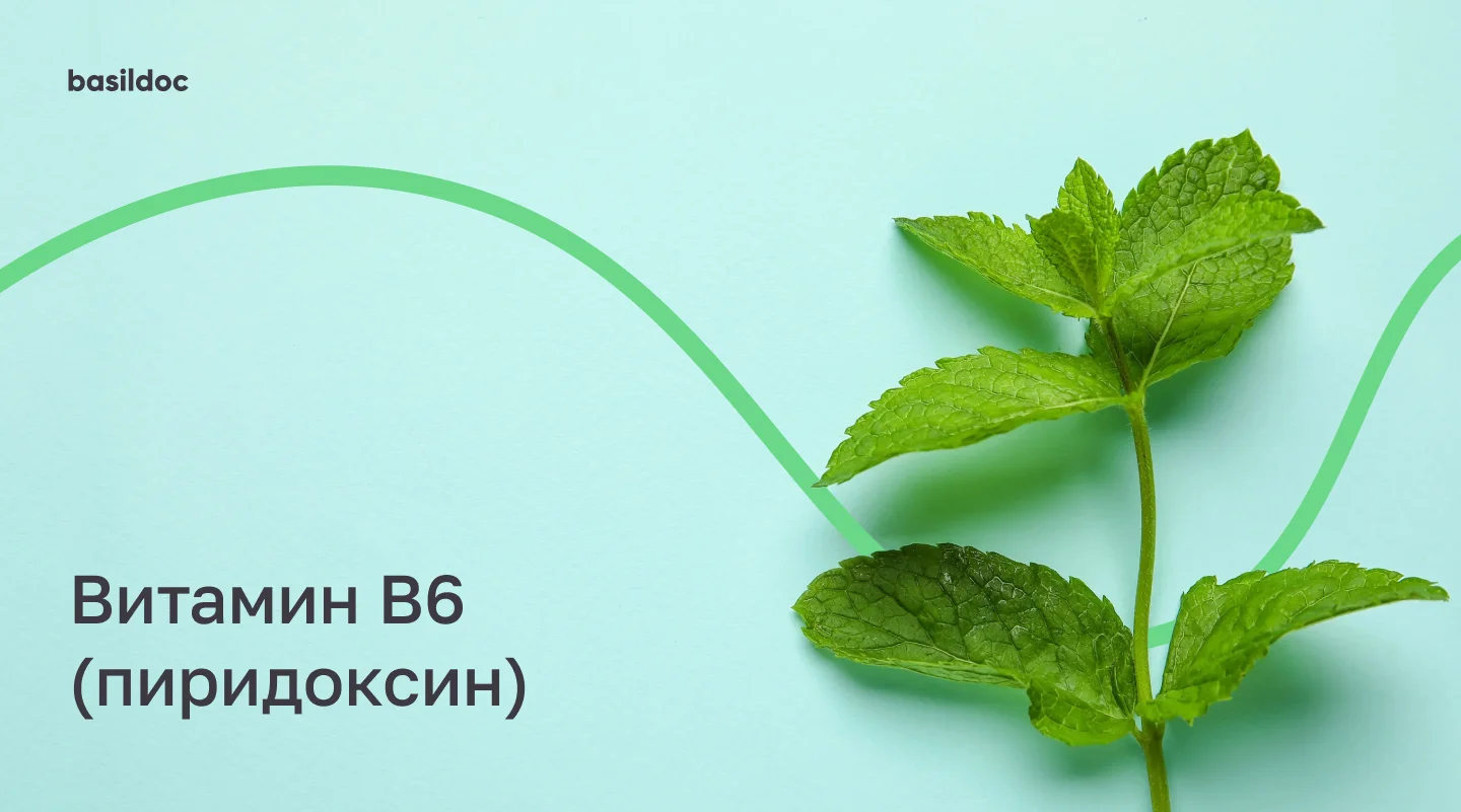 Витамин B6 (пиридоксин): польза, содержание в продуктах и симптомы нехватки